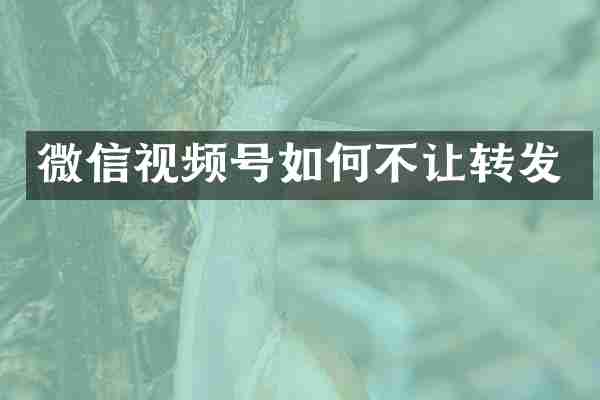 微信视频号如何不让转发