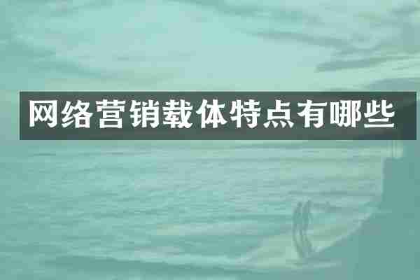 网络营销载体特点有哪些