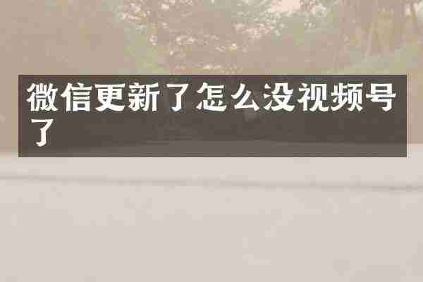 微信更新了怎么没视频号了