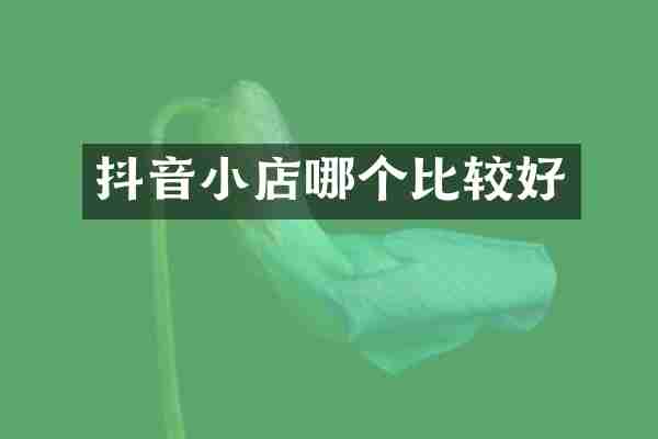 抖音小店哪个比较好