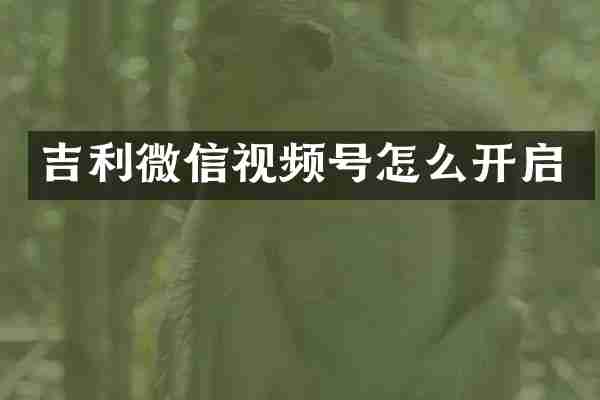 吉利微信视频号怎么开启