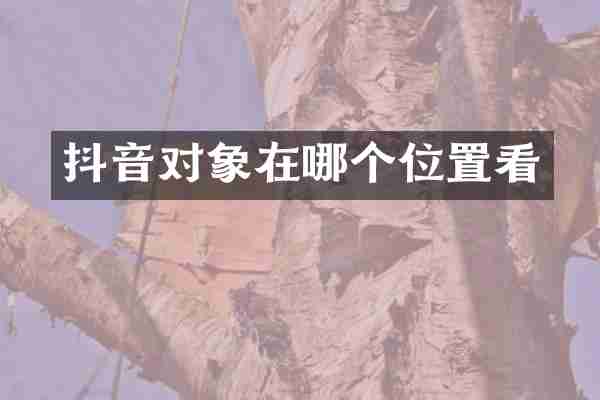 抖音对象在哪个位置看