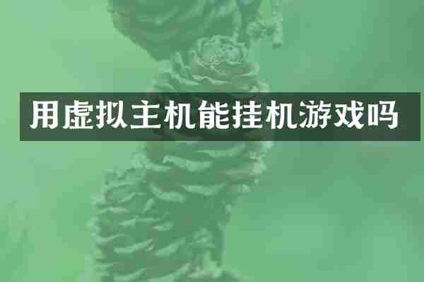 用虚拟主机能挂机游戏吗