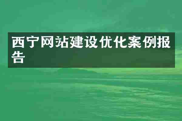 西宁网站建设优化案例报告