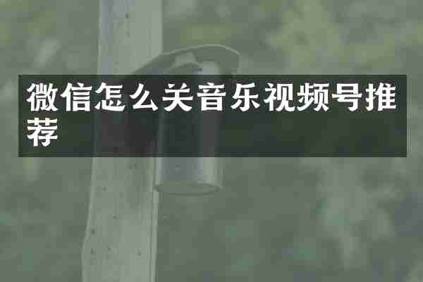 微信怎么关音乐视频号推荐