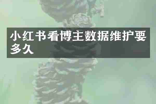 小红书看博主数据维护要多久