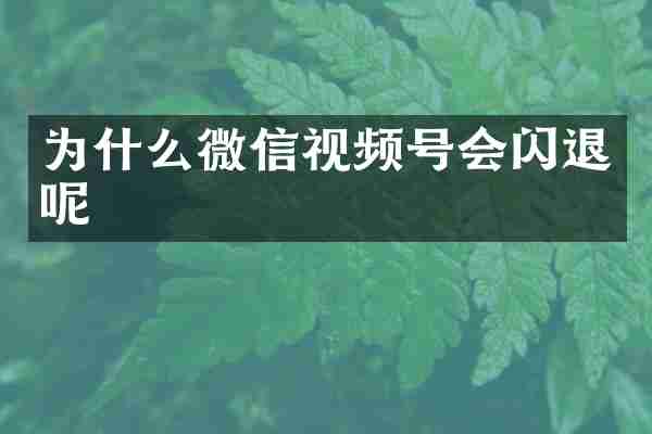 为什么微信视频号会闪退呢