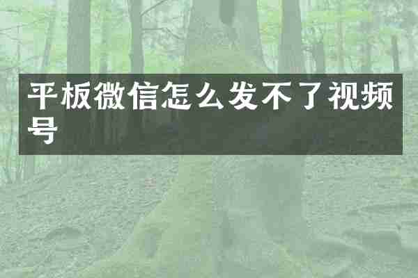 平板微信怎么发不了视频号