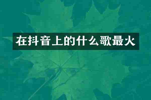 在抖音上的什么歌最火