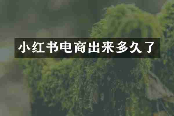 小红书电商出来多久了