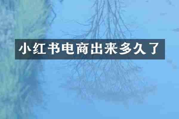 小红书电商出来多久了