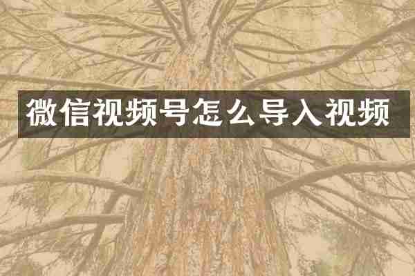 微信视频号怎么导入视频