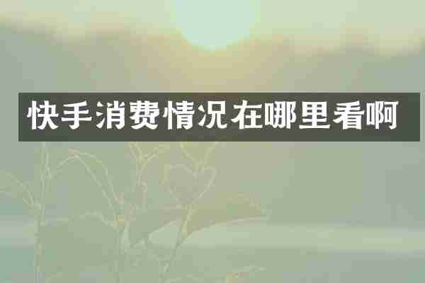 快手消费情况在哪里看啊
