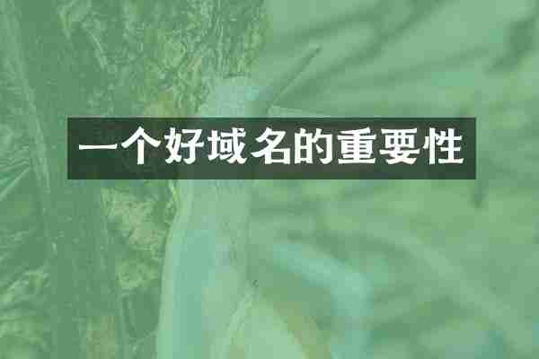 一个好域名的重要性