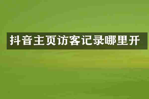 抖音主页访客记录哪里开