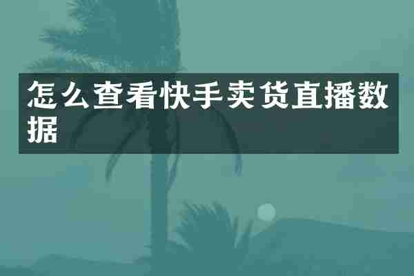 怎么查看快手卖货直播数据