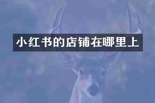 小红书的店铺在哪里上