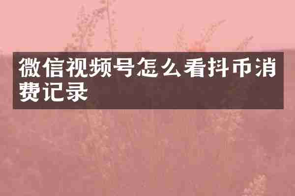 微信视频号怎么看抖币消费记录