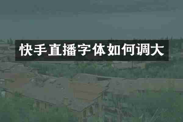 快手直播字体如何调大