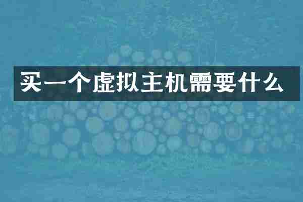 买一个虚拟主机需要什么
