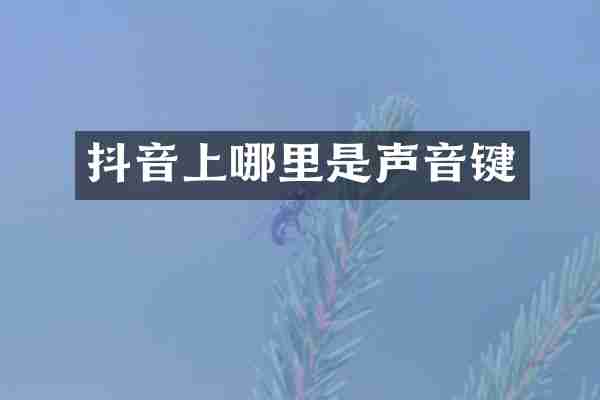 抖音上哪里是声音键