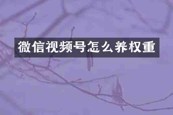 微信视频号怎么养权重