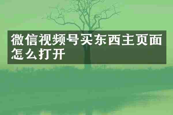 微信视频号买东西主页面怎么打开
