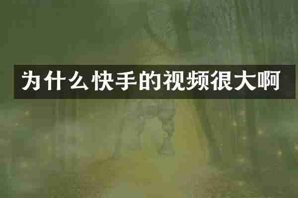 为什么快手的视频很大啊