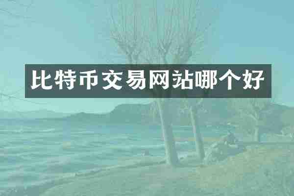 比特币交易网站哪个好
