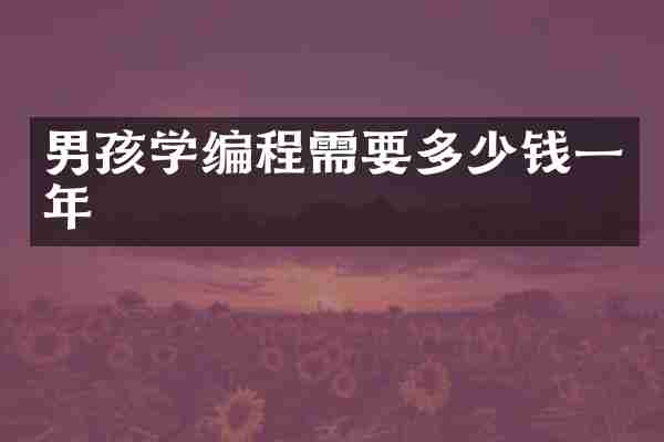 男孩学编程需要多少钱一年