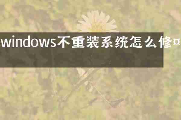 windows不重装系统怎么修复