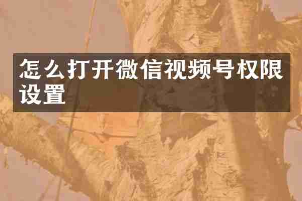 怎么打开微信视频号权限设置