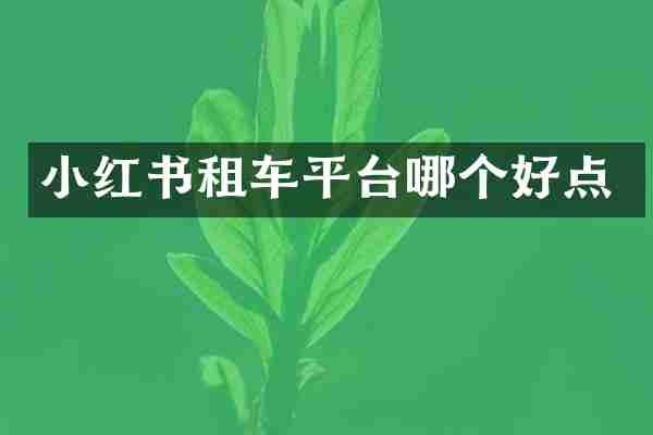 小红书租车平台哪个好点