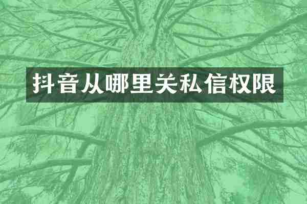 抖音从哪里关私信权限