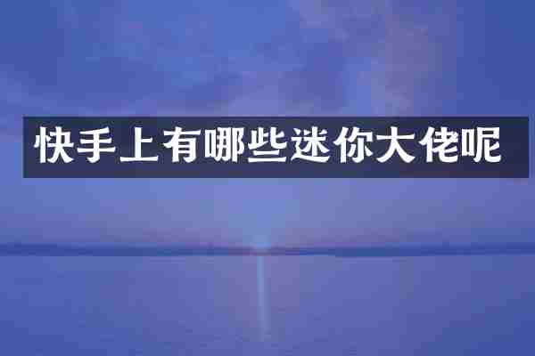 快手上有哪些迷你大佬呢