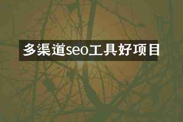 多渠道seo工具好项目