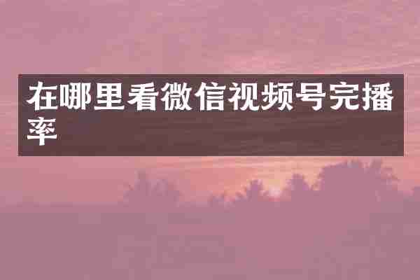 在哪里看微信视频号完播率