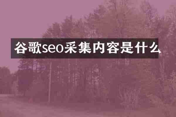 谷歌seo采集内容是什么