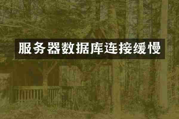 服务器数据库连接缓慢