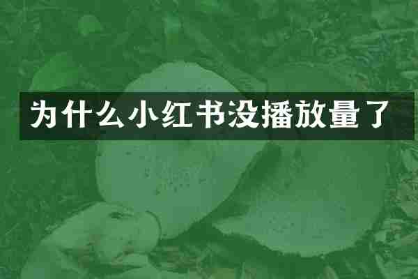 为什么小红书没播放量了