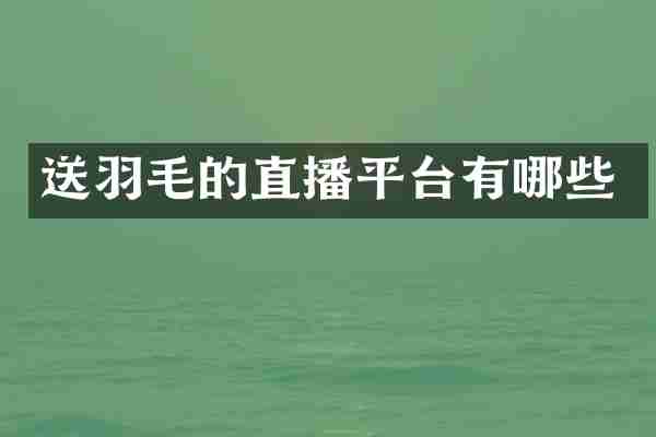 送羽毛的直播平台有哪些