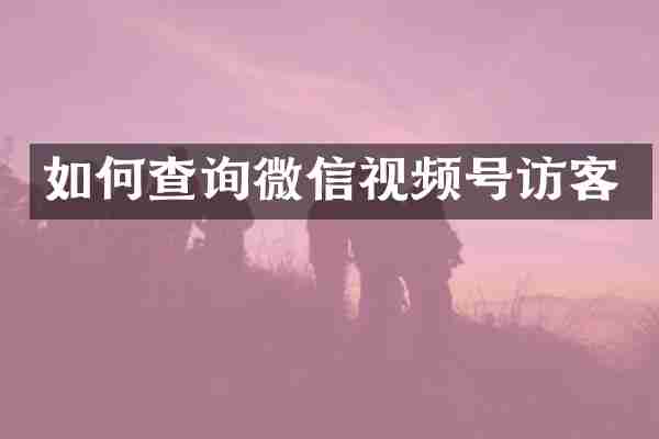 如何查询微信视频号访客