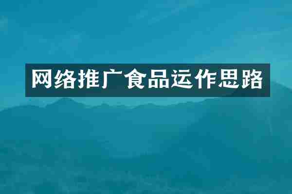 网络推广食品运作思路