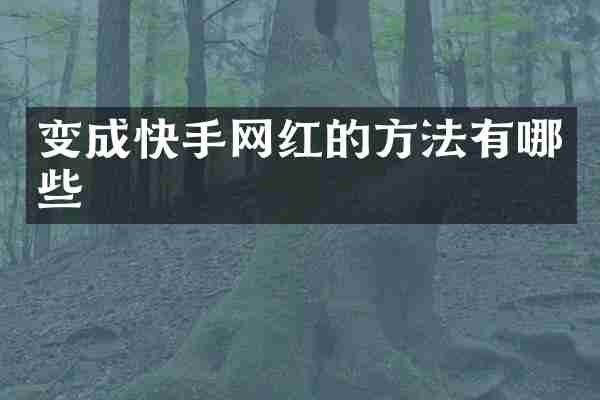 变成快手网红的方法有哪些