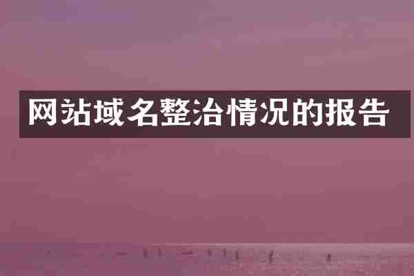 网站域名整治情况的报告
