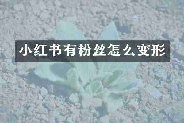 小红书有粉丝怎么变形