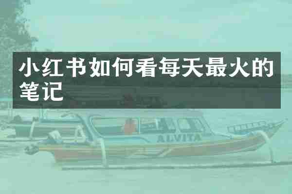 小红书如何看每天最火的笔记