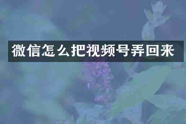 微信怎么把视频号弄回来