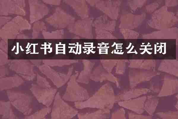 小红书自动录音怎么关闭