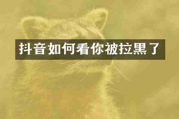 抖音如何看你被拉黑了